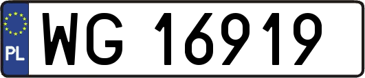 WG16919