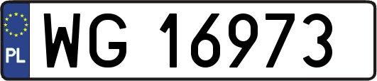 WG16973