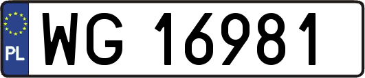 WG16981