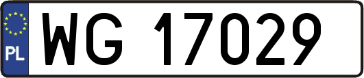 WG17029