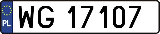 WG17107