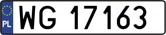 WG17163