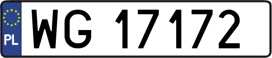 WG17172