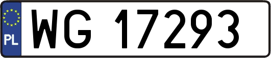 WG17293