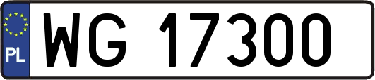 WG17300