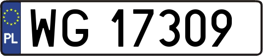 WG17309