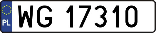 WG17310