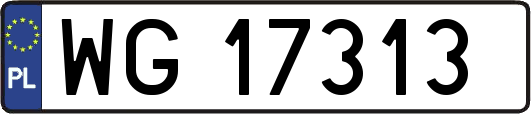 WG17313