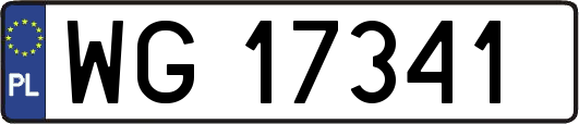 WG17341