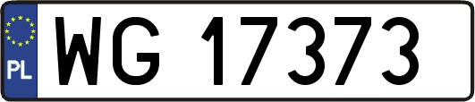 WG17373