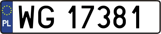 WG17381