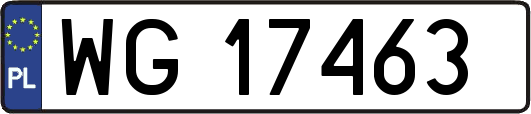 WG17463