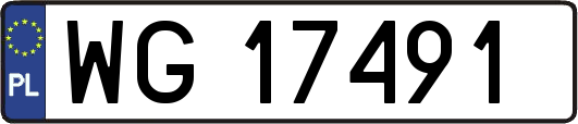 WG17491
