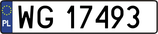WG17493