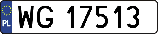 WG17513