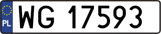 WG17593