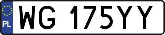 WG175YY