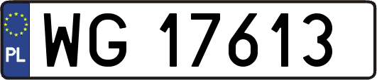 WG17613