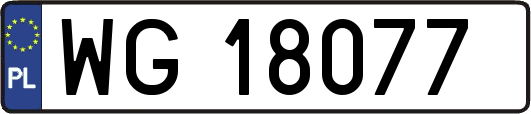WG18077