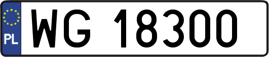 WG18300