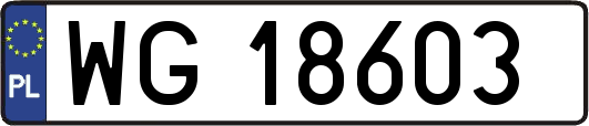WG18603
