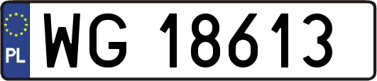 WG18613