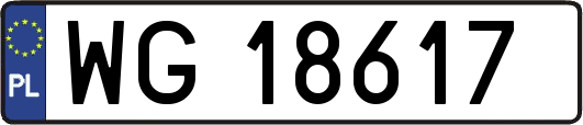 WG18617