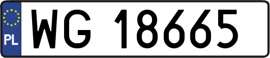 WG18665