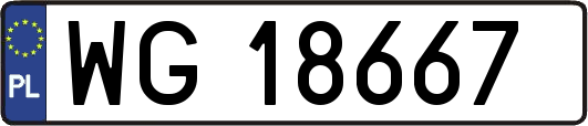 WG18667