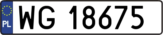 WG18675