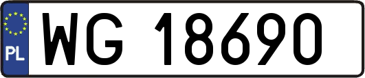 WG18690