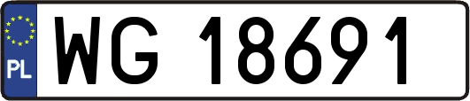 WG18691