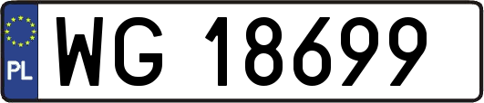 WG18699