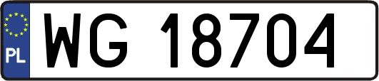 WG18704