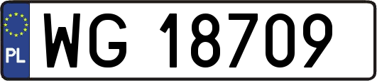 WG18709