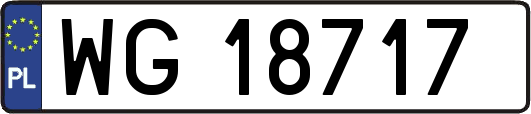 WG18717