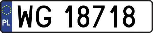 WG18718