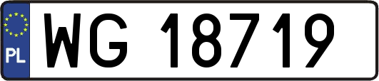 WG18719