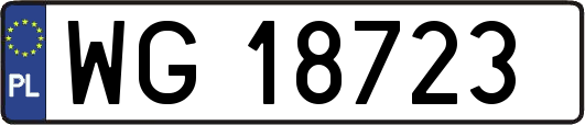 WG18723