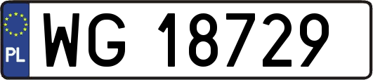 WG18729