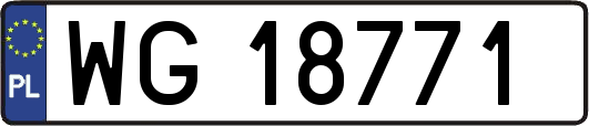 WG18771