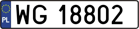 WG18802