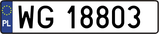 WG18803