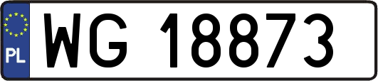 WG18873