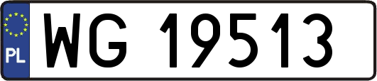 WG19513