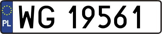 WG19561