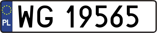 WG19565