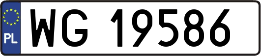 WG19586