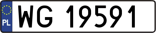 WG19591