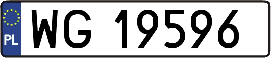 WG19596